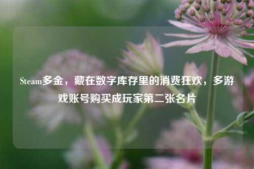 Steam多金，藏在数字库存里的消费狂欢，多游戏账号购买成玩家第二张名片