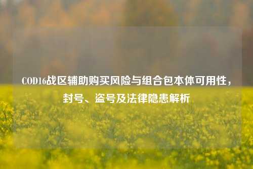 COD16战区辅助购买风险与组合包本体可用性,封号、盗号及法律隐患解析