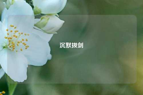 沉默拔剑