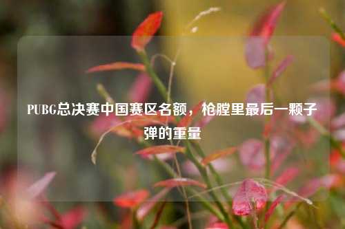 PUBG总决赛中国赛区名额，枪膛里最后一颗子弹的重量
