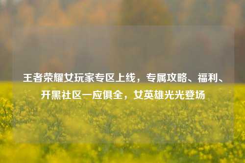 王者荣耀女玩家专区上线，专属攻略、福利、开黑社区一应俱全，女英雄光光登场