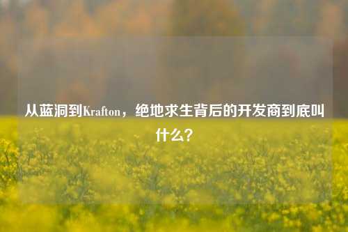 从蓝洞到Krafton，绝地求生背后的开发商到底叫什么？