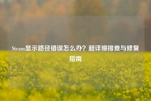 Steam显示路径错误怎么办？超详细排查与修复指南