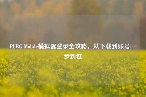 PUBG Mobile模拟器登录全攻略，从下载到账号一步到位