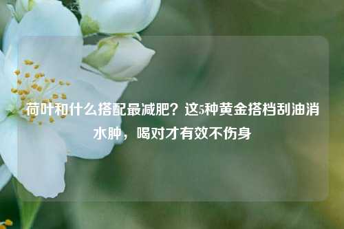 荷叶和什么搭配最减肥？这5种黄金搭档刮油消水肿，喝对才有效不伤身