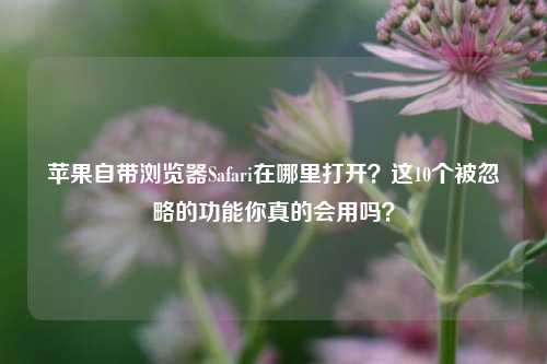 苹果自带浏览器Safari在哪里打开？这10个被忽略的功能你真的会用吗？