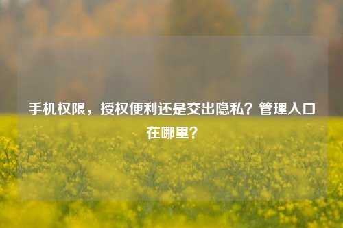 手机权限，授权便利还是交出隐私？管理入口在哪里？