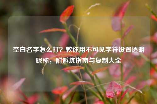空白名字怎么打？教你用不可见字符设置透明昵称，附避坑指南与复制大全