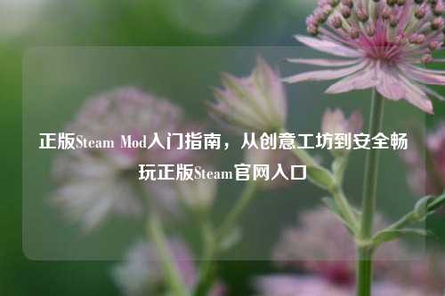 正版Steam Mod入门指南，从创意工坊到安全畅玩正版Steam官网入口