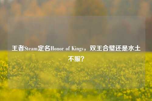 王者Steam定名Honor of Kings，双王合璧还是水土不服？