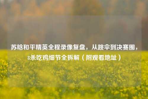 苏晗和平精英全程录像复盘，从跳伞到决赛圈，8杀吃鸡细节全拆解（附观看地址）