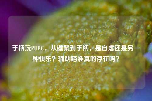 手柄玩PUBG，从键鼠到手柄，是自虐还是另一种快乐？辅助瞄准真的存在吗？