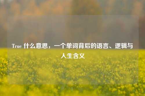 True 什么意思，一个单词背后的语言、逻辑与人生含义