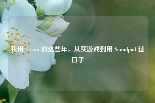 我用 Steam 的这些年,从买游戏到用 Soundpad 过日子