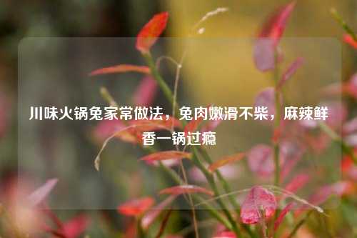 川味火锅兔家常做法，兔肉嫩滑不柴，麻辣鲜香一锅过瘾