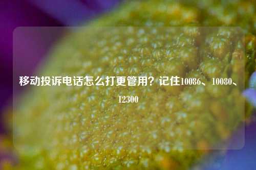 移动投诉电话怎么打更管用？记住10086、10080、12300