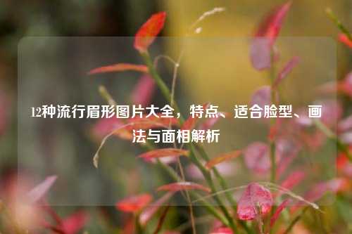 12种流行眉形图片大全，特点、适合脸型、画法与面相解析