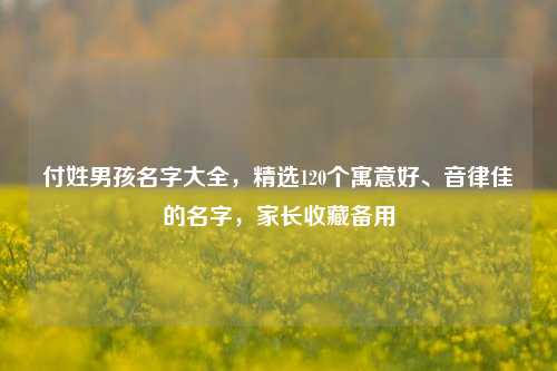 付姓男孩名字大全，精选120个寓意好、音律佳的名字，家长收藏备用