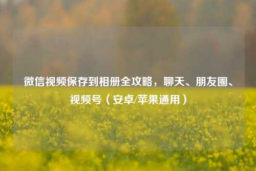 微信视频保存到相册全攻略，聊天、朋友圈、视频号（安卓/苹果通用）