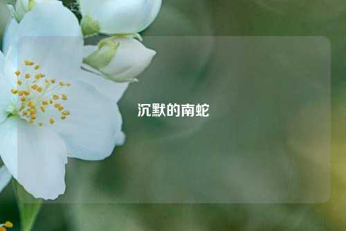 沉默的南蛇