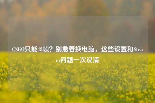 CSGO只能48帧？别急着换电脑，这些设置和Steam问题一次说清
