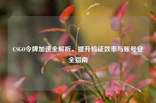 CSGO令牌加速全解析，提升验证效率与账号安全指南