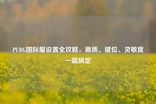 PUBG国际服设置全攻略,画质、键位、灵敏度一篇搞定