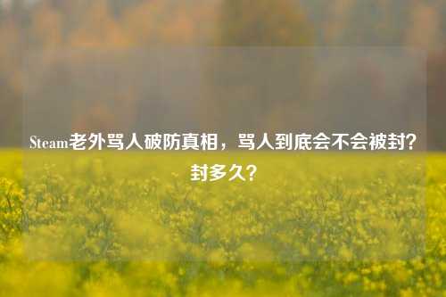 Steam老外骂人破防真相，骂人到底会不会被封？封多久？