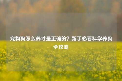 宠物狗怎么养才是正确的？新手必看科学养狗全攻略
