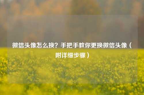 微信头像怎么换？手把手教你更换微信头像（附详细步骤）