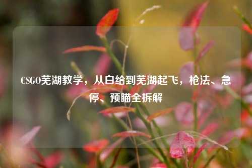 CSGO芜湖教学，从白给到芜湖起飞，枪法、急停、预瞄全拆解