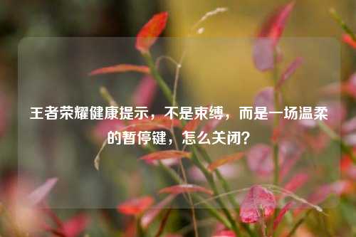 王者荣耀健康提示，不是束缚，而是一场温柔的暂停键，怎么关闭？