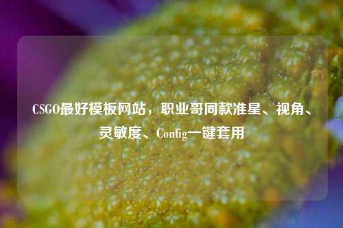 CSGO最好模板网站，职业哥同款准星、视角、灵敏度、Config一键套用