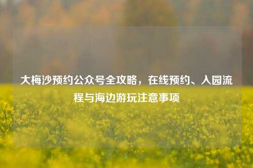大梅沙预约公众号全攻略，在线预约、入园流程与海边游玩注意事项