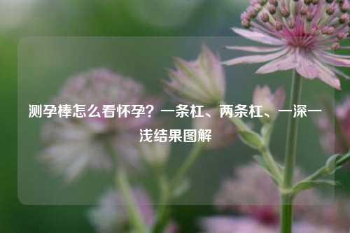 测孕棒怎么看怀孕？一条杠、两条杠、一深一浅结果图解
