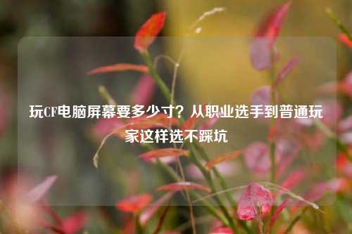 玩CF电脑屏幕要多少寸？从职业选手到普通玩家这样选不踩坑