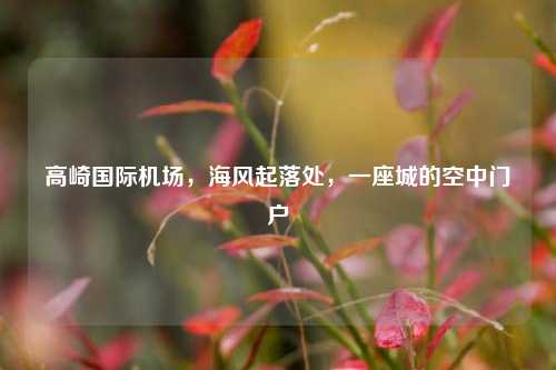 高崎国际机场，海风起落处，一座城的空中门户