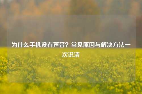 为什么手机没有声音？常见原因与解决方法一次说清