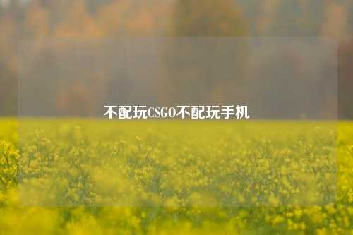 不配玩CSGO不配玩手机