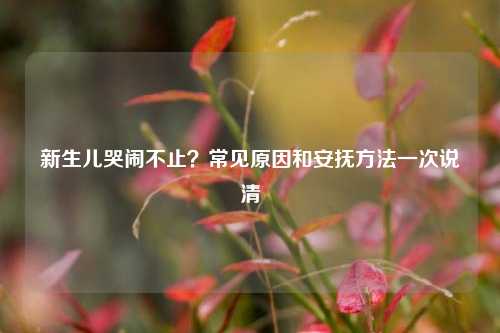 新生儿哭闹不止？常见原因和安抚方法一次说清