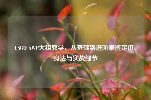 CSGO AWP大狙教学，从基础到进阶掌握定位、身法与实战细节
