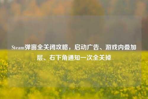 Steam弹窗全关闭攻略，启动广告、游戏内叠加层、右下角通知一次全关掉