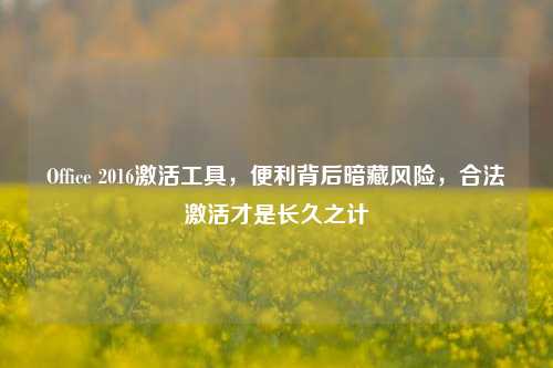 Office 2016激活工具，便利背后暗藏风险，合法激活才是长久之计