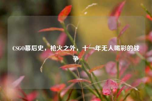 CSGO幕后史，枪火之外，十一年无人喝彩的战争