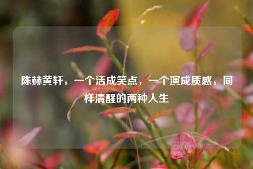 陈赫黄轩，一个活成笑点，一个演成质感，同样清醒的两种人生