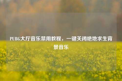 PUBG大厅音乐禁用教程，一键关闭绝地求生背景音乐