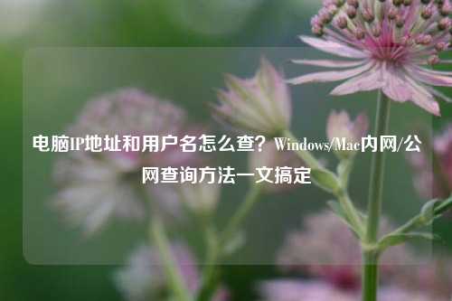 电脑IP地址和用户名怎么查？Windows/Mac内网/公网查询方法一文搞定