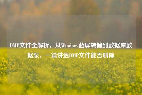 DMP文件全解析，从Windows蓝屏转储到数据库数据泵，一篇讲透DMP文件能否删除