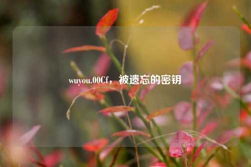 wuyou.00Cf，被遗忘的密钥