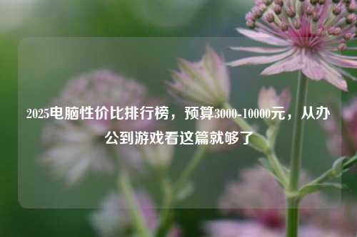 2025电脑性价比排行榜，预算3000-10000元，从办公到游戏看这篇就够了